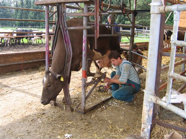 Troubelice 2006 047.jpg
